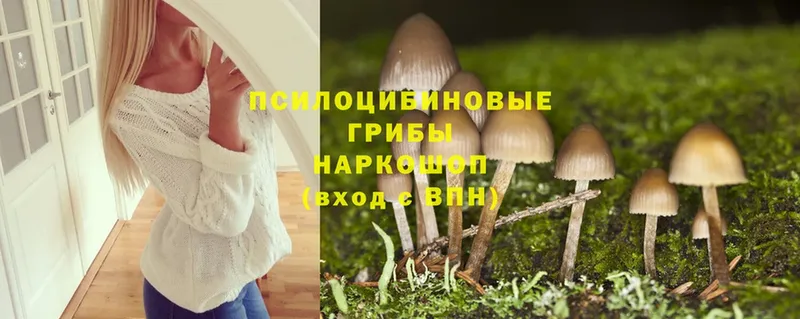 купить наркотик  Балахна  Галлюциногенные грибы Magic Shrooms 